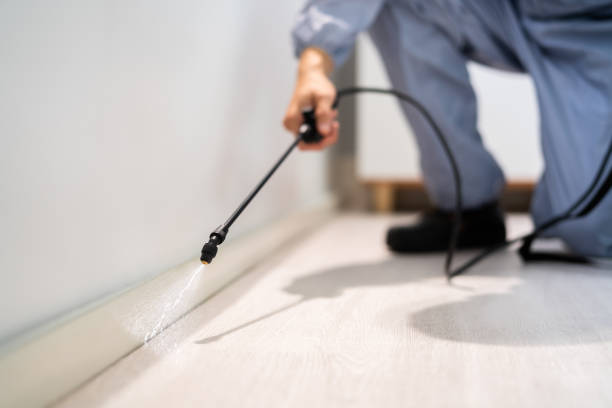 Professional exterminator conducting IPM assessment in Coats Bend