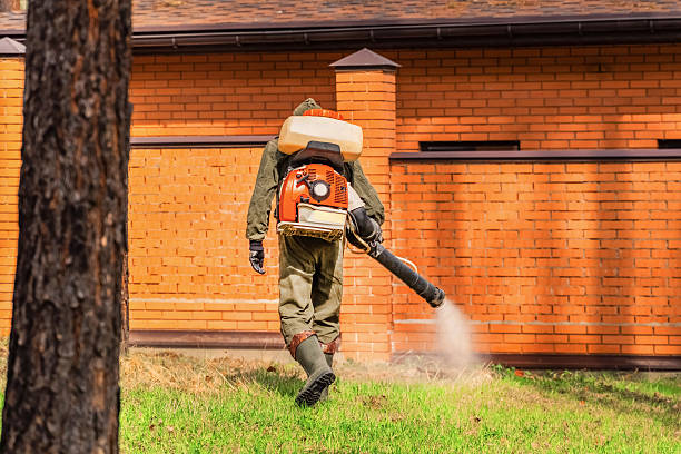 Bed Bug Clearance Verification and Documentation in Coats Bend